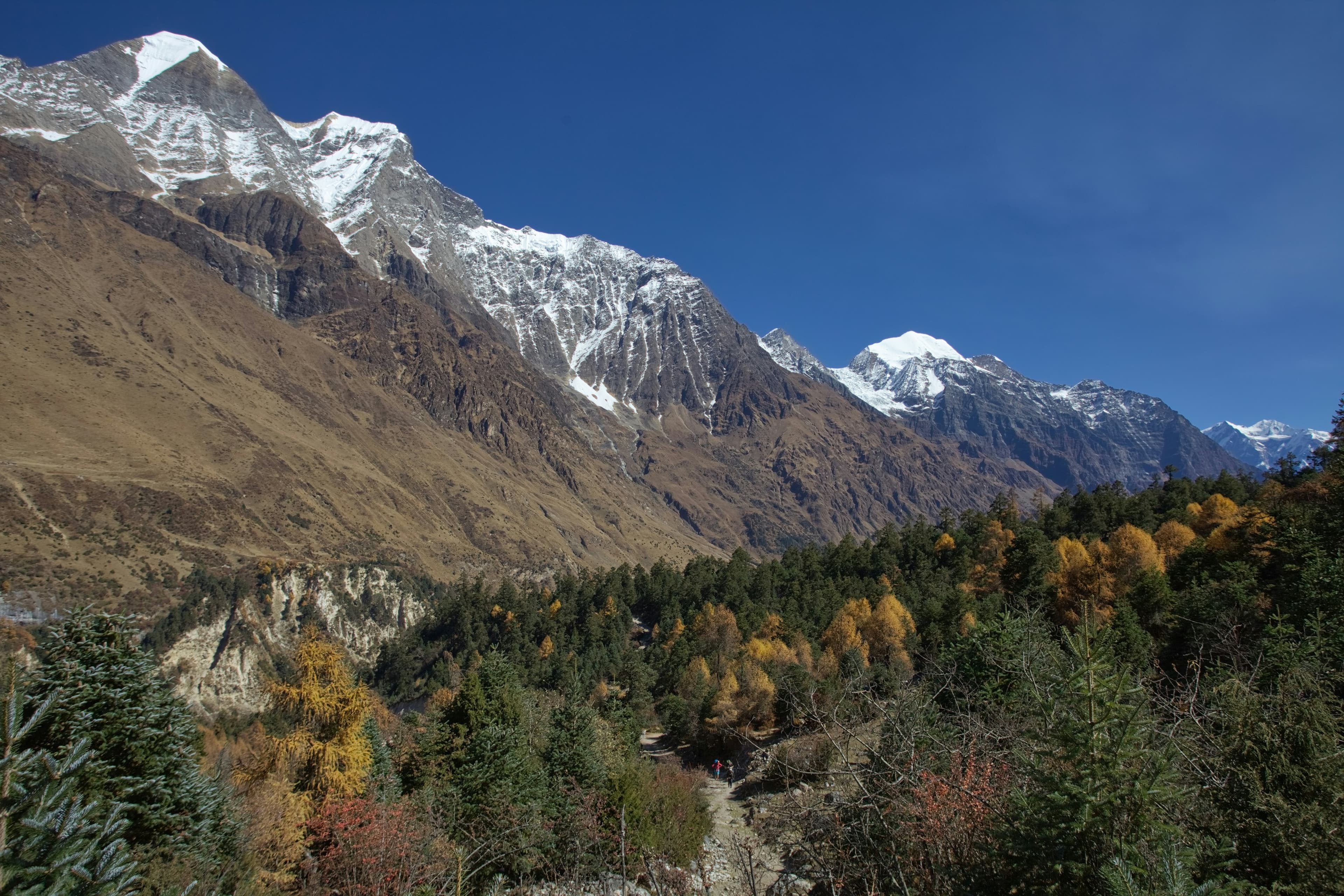 Adventure Everest Team guides on the trail